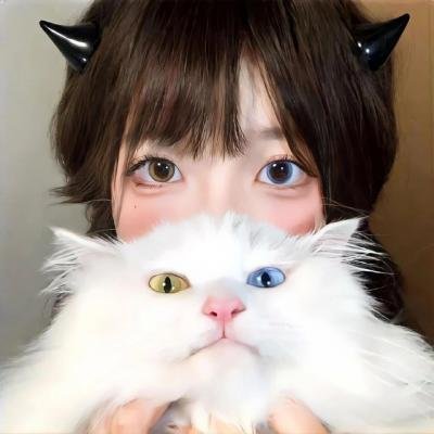 莎拉的钥匙